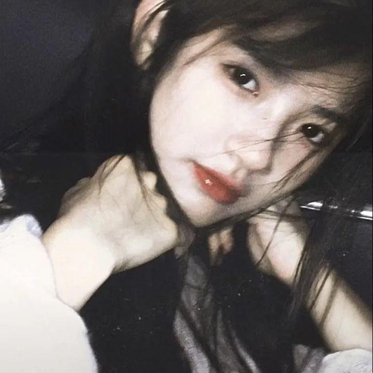 鲨与鲸